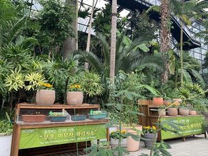 움직이는 신기한 식물보러 가자&hellip;서울대공원 식물원, '신기하게 움직이는 식물 전시회'