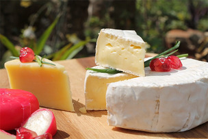 아토피 완화하는 '토종 유산균', 치즈로 먹어도 효과적