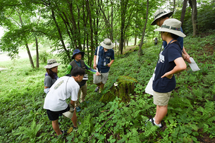 식물, 곤충 좋아하는 아이와 가 볼 만한 곳&hellip;여름방학에만 갈 수 있는 특별한 학교 '산림생물학교'