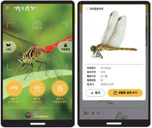 우리 주변의 잠자리가 거의 100종? 모바일로 쉽게 관찰하는 '생활 속 곤충 찾기' 앱