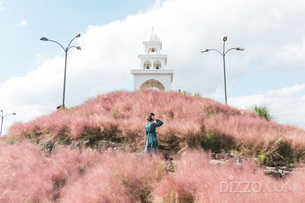 10월 제주도 가볼만한 곳&hellip;가을맞이 핑크뮬리 축제하는 '제주허브동산'