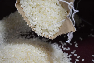 농식품부, 쌀값 상승 전망&hellip;태풍, 잦은 비로 올해 쌀 생산량 12만 톤 감소