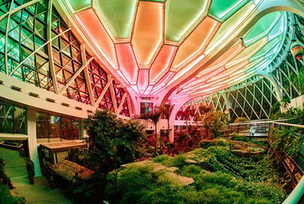 겨울밤에 식물원에서 색다른 경험해볼까? 서울식물원,  '온실 야간 특별관람' 예약 시작