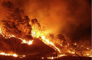 연휴기간 산불조심...수원 광교산 등산로 입구 '대형산불 사진 전시회' 개최