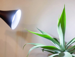 빛으로 공기정화 효과 증대! '필립스 LED 가정용 식물등' 공기정화식물 위한 조명등