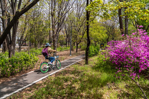노원구, 송파구, 마포구, 영등포구 등 공원과 연계된 서울 자전거길 명소
