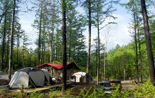코로나19에도 안심! 국립자연휴양림, 요리&middot;캠핑 등 숲속 체험 프로그램 진행