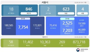 [종합] 신규 18명, 29일 서울 코로나19 확진자 총 828명...6월 14일 까지 방역관리 강화