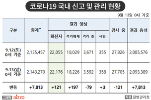 [속보] 121명 추가, 총 22,176명! 9월 13일 '코로나19' 국내 발생 현황