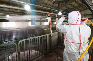 중국, 이번엔 브루셀라병! 간쑤성에서 3천여 명 감염 확인