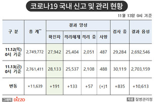 [속보] 191명 추가, 총 28,133명! 11월 13일 '코로나19' 국내 발생 현황