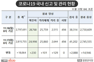 [속보] 230명 추가, 총 28,998명! 11월 17일 '코로나19' 국내 발생 현황