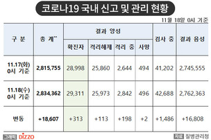 [속보] 313명 추가, 총 29,311명! 11월 18일 '코로나19' 국내 발생 현황