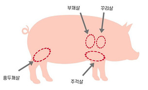 돼지고기 맛을 좌우하는 비결! 최적의 구이 부위와 온도는?
