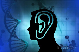 청각신경병증 일으키는 새로운 난청 유전자 찾았다&hellip;말초신경계 교세포 역할 세계 최초 규명