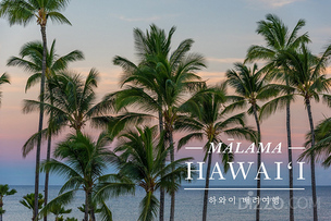 하와이 관광청, 시티 포레스티벌에 참여해 '하와이 배려 여행' 캠페인 알린다