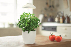 레드밴스, 식물 생장 돕는 LED 조명 '가든' 시리즈 출시