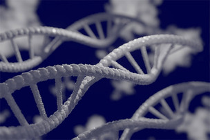 분당서울대병원, 한국인에 많은 유전성 림프부종 변이 패턴 찾았다