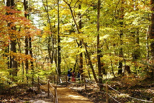가을 맞은 조선왕릉 10개소 숲길, 10월부터 한시 개방