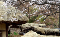 [사진이 있는 에세이] 민속촌 스케치 "옛 정취와 흥이 함께 어우러진 곳"