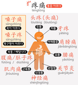 신체 부위별 통증 중국어로 표현하기