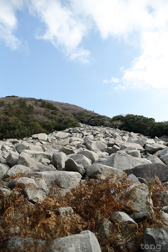 사진제공=완도군