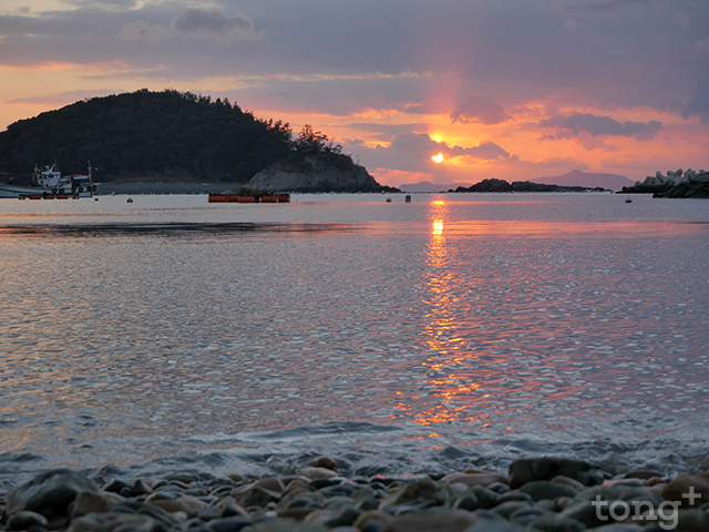 사진제공=완도군
