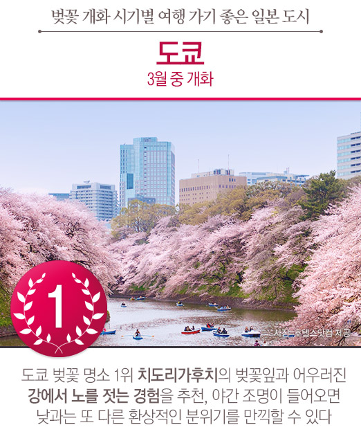 벚꽃 개화 시기별 여행 가기 좋은 일본의 도시 TOP6