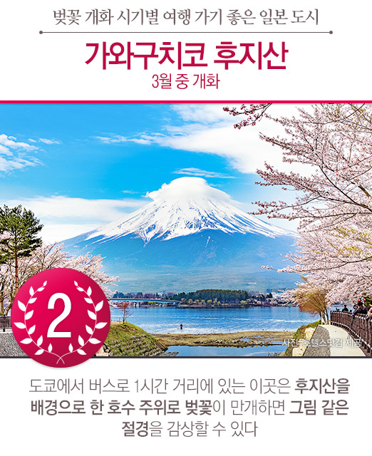 벚꽃 개화 시기별 여행 가기 좋은 일본의 도시 TOP6