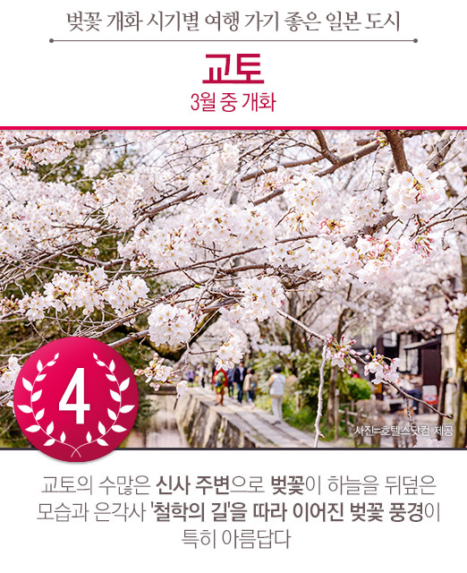 벚꽃 개화 시기별 여행 가기 좋은 일본의 도시 TOP6