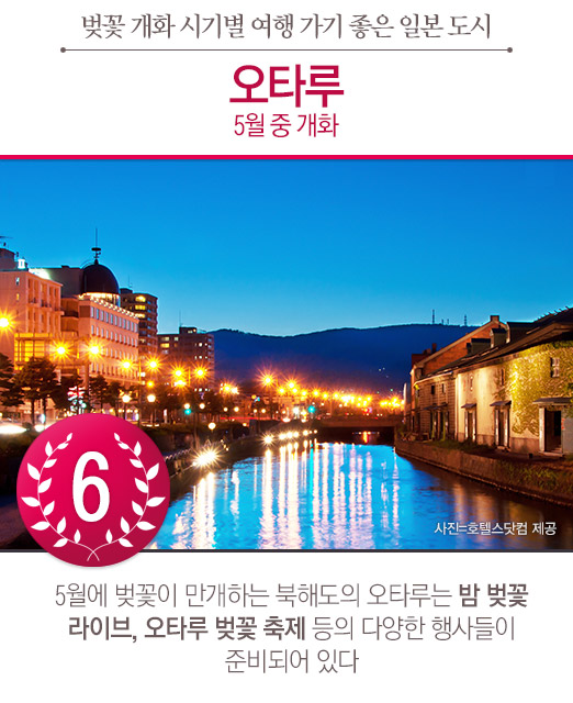 벚꽃 개화 시기별 여행 가기 좋은 일본의 도시 TOP6