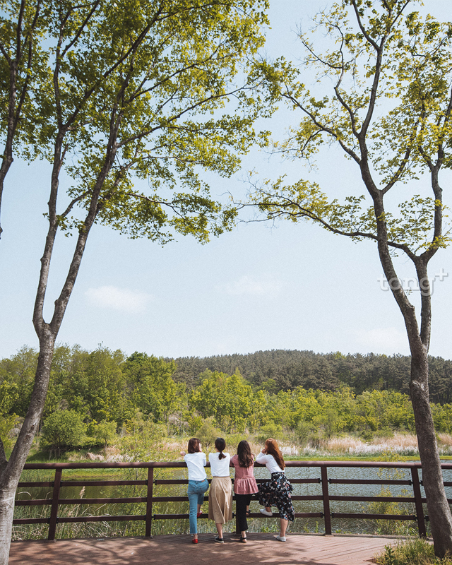 나저어못데크(사진제공=환경부)