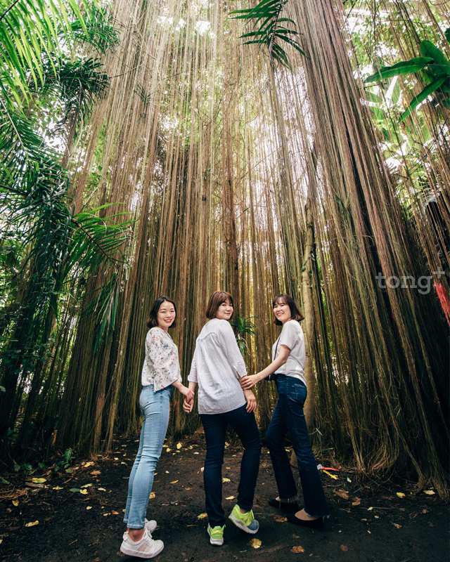 열대관(사진제공=환경부)
