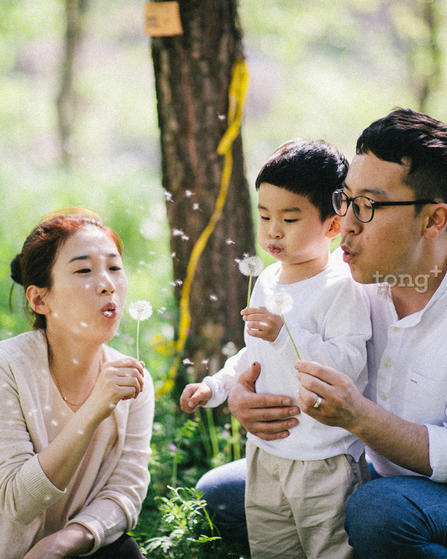 한반도숲(사진제공=환경부)