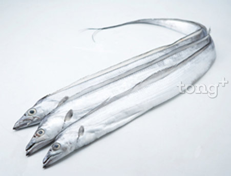 사진제공=해양수산부