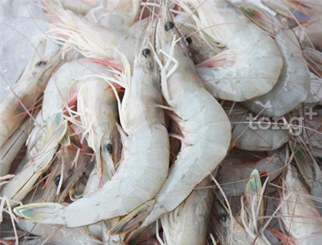 사진제공=해양수산부