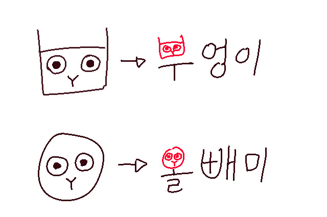 네티즌 사이에 큰 인기를 모은 부엉이 올빼미 구별법