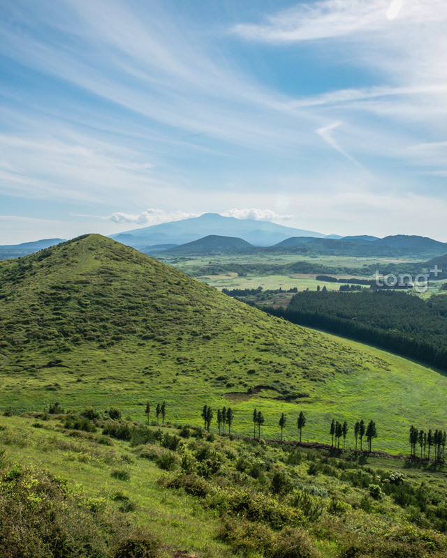 4월 제주로 여행간다면 놓쳐서는 안 될 10가지