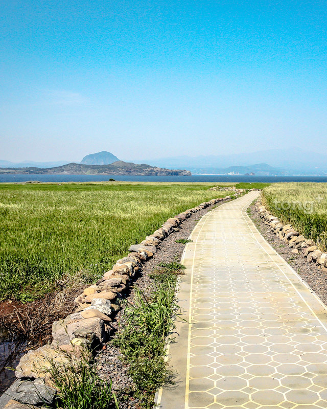 4월 제주로 여행간다면 놓쳐서는 안 될 10가지