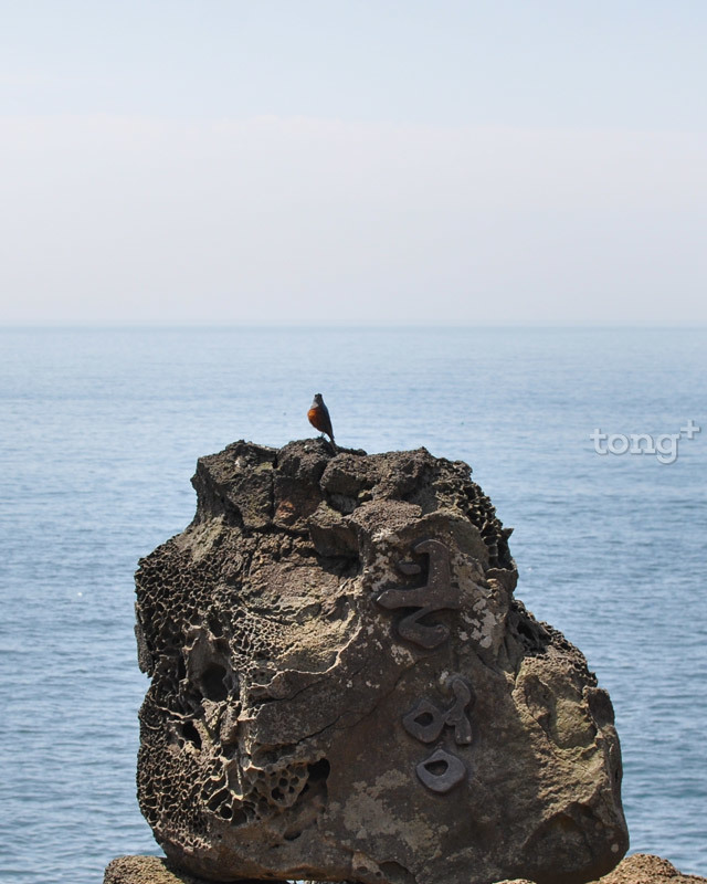 4월 제주로 여행간다면 놓쳐서는 안 될 10가지