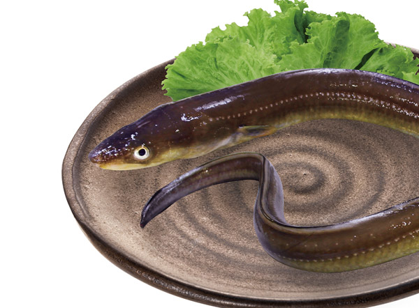 사진출처=해양수산부