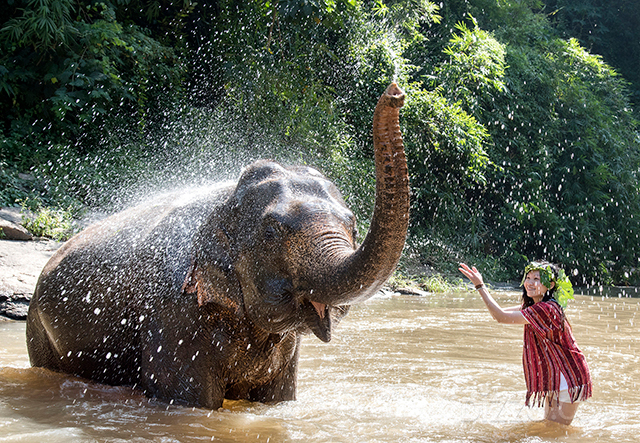 하나투어 태국 치앙마이 '코끼리와의 하루' 일정 중 강에서 물놀이하는 모습(사진제공=치앙마이엘리펀트프렌즈)