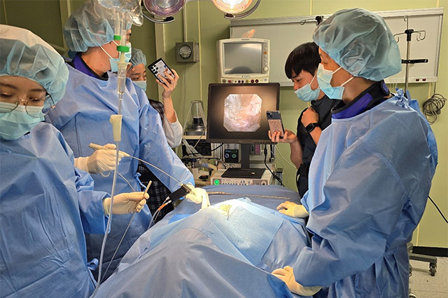 더블유에스아이, 반려동물 척추 수술용 내시경 의료기기 제조 허가 획득