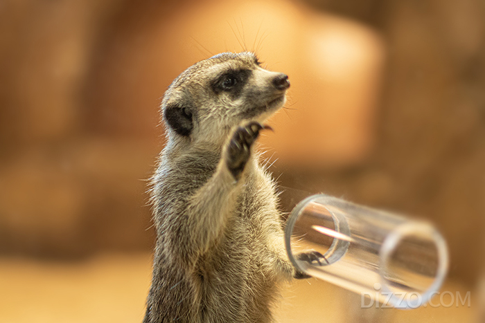 사진제공=제주신화월드 