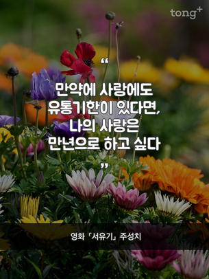 "사랑의 유통기한"