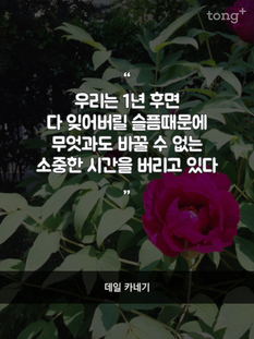 "우리는 1년 후면 다 잊어버릴 슬픔 때문에 무엇과도 바꿀 수 없는 소중한 시간을 버리고 있다"