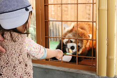 '동물과 자연' 도치기로 떠나는 힐링여행