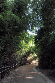 "산속에서 만난 바다 동물" 울산 반구대 암각화