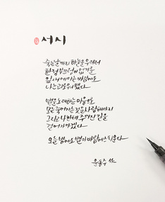 [윤동주 70주기 詩 캘리그라피] 서시