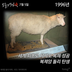 7월 5일 - 복제양 돌리 탄생/ 이한열군 사망